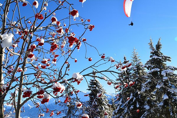 Winter landscape in the Upper Val Venosta Winter landscape in the Upper Val Venosta